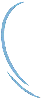 Vector del logo